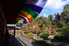 250107智積院34