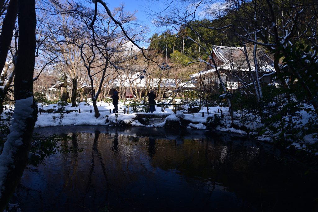 230129b圓光寺31