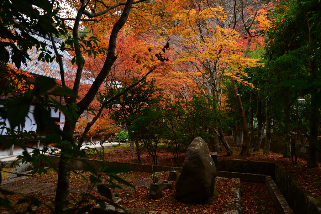 231130a南禅寺27