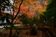 231130a南禅寺27