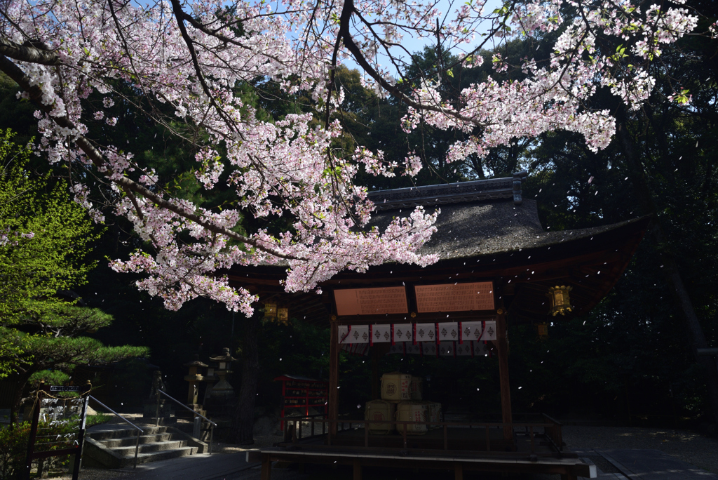 210402a水度神社06