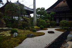 210112妙心寺大心院60