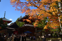 211103高野山51
