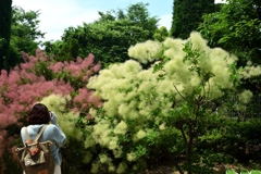 180603長居植物園01+