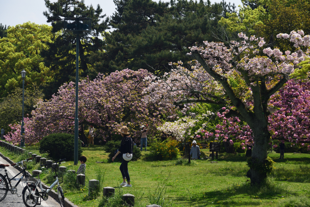 190422b京都御苑46