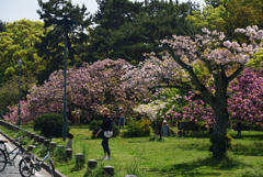 190422b京都御苑46