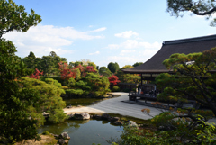 221116d仁和寺36