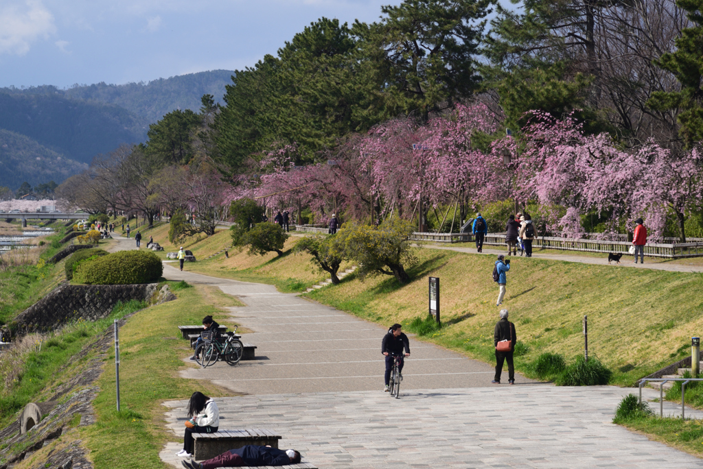 200402a京都植物園91