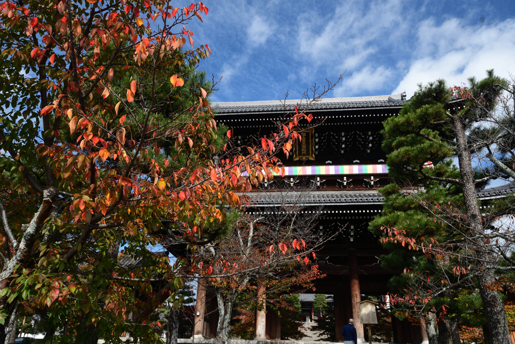 251111a金戒光明寺08