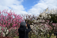 230226万博公園16