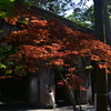 240521f南禅寺35