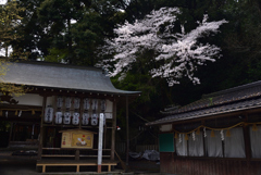 200403c小倉神社52