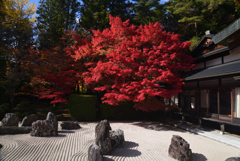 211103高野山41