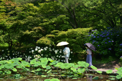 210624京都植物園44
