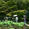 210624京都植物園44