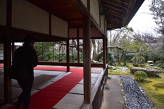 200218b宝泉院44
