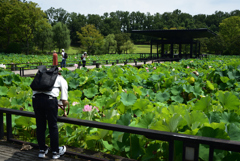 200802万博公園18