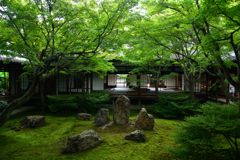 250829a建仁寺22