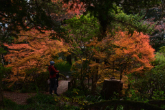 211204京都植物園27