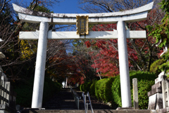 201124b宗忠神社41