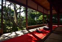 180928大原宝泉院58+