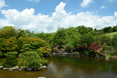 250712万博公園44