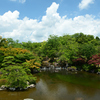 250712万博公園44