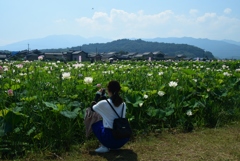180715a藤原宮跡43