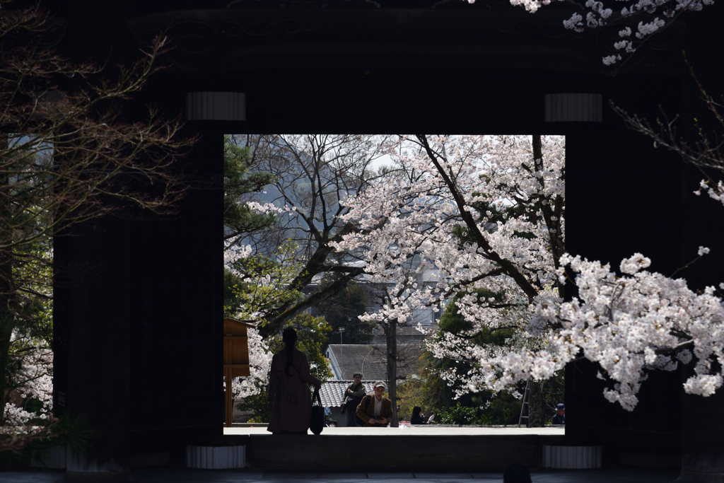 190406b金戒光明寺53