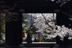 190406b金戒光明寺53