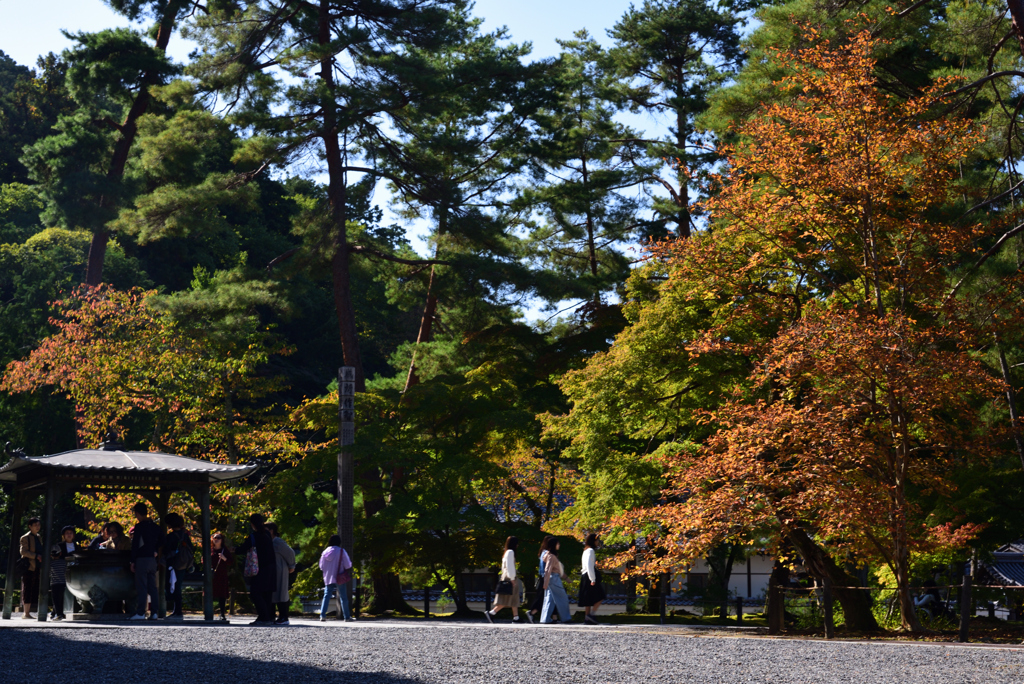 191102a南禅寺02