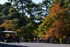 191102a南禅寺02