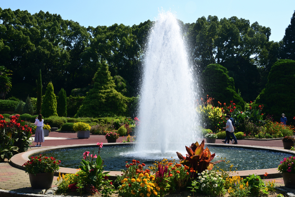 221002京都植物園10