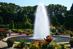 221002京都植物園10