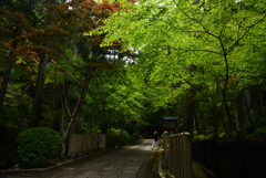 190526霊山寺67