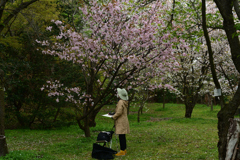 250411a京都植物園37