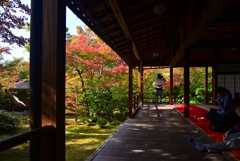 221116b妙心寺大法院07