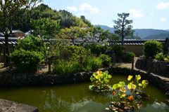 230927d飛鳥寺20