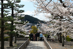 250403c金戒光明寺14