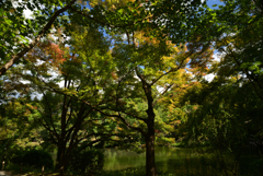 221015京都植物園54
