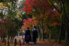 221124c梅小路公園03