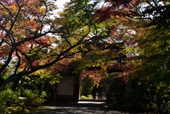 181111a常照寺36