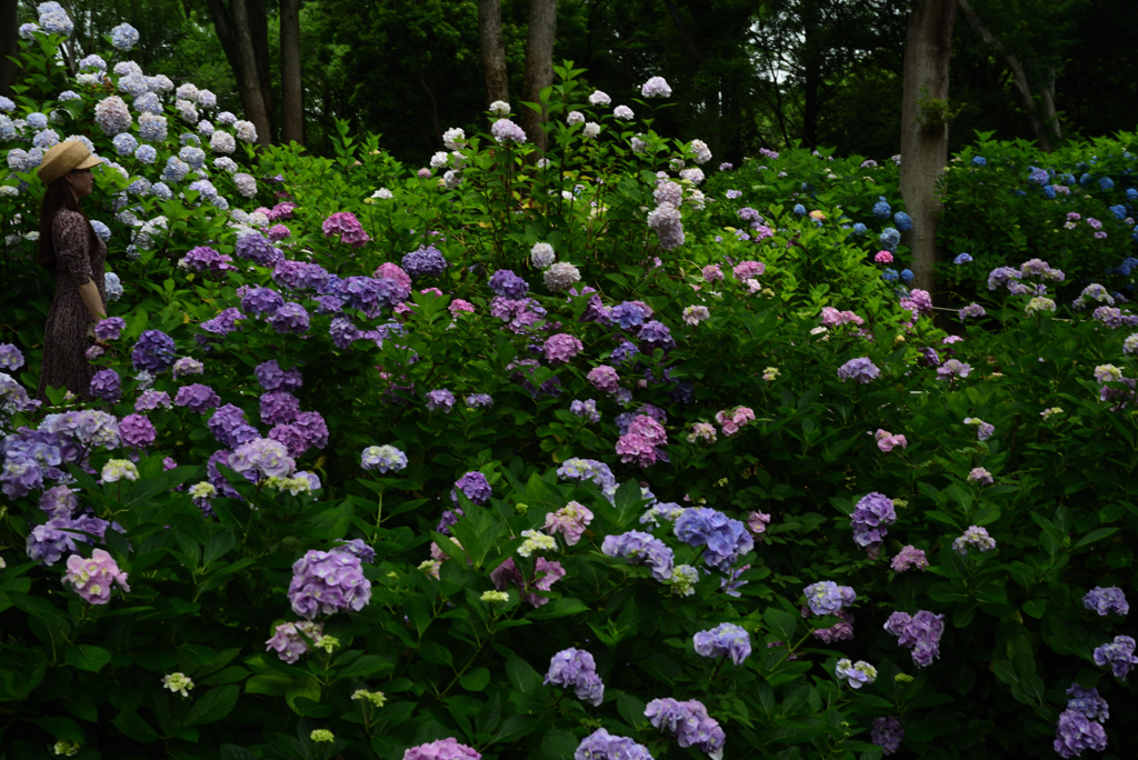 200627万博公園35