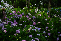 200627万博公園35