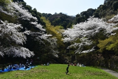 180331b長等公園09