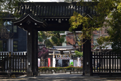 200313京都御苑51