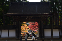 211103高野山22