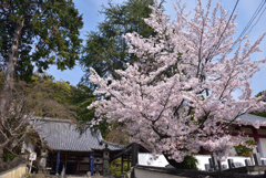 200403a宝積寺10