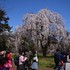 200320h京都御苑07