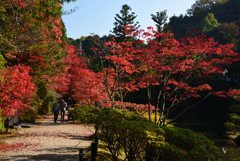 201108円成寺11